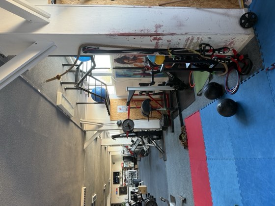 Iron Gym Tábor — fotografie 14