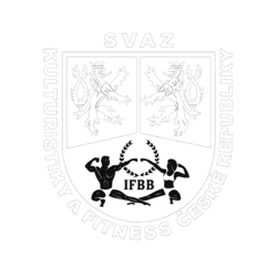 Partner Iron Gymu Tábor